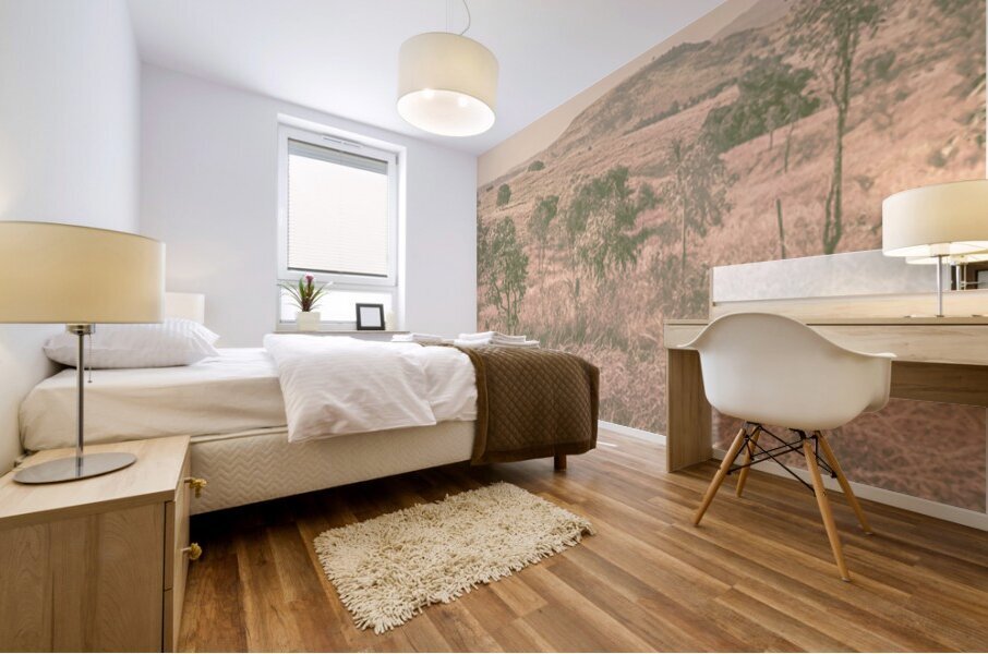 Backcountry Calm Mural print