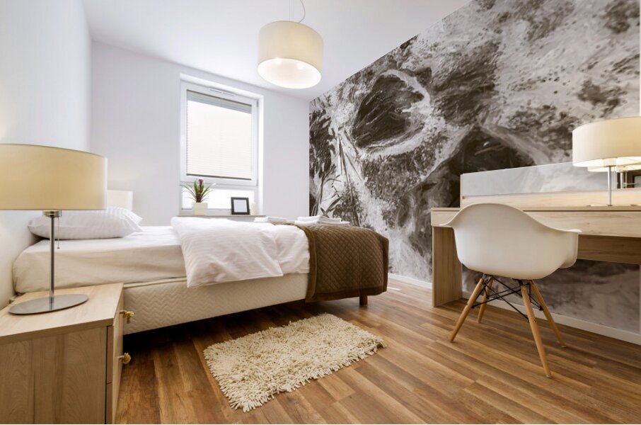 Natural Flow Mural print