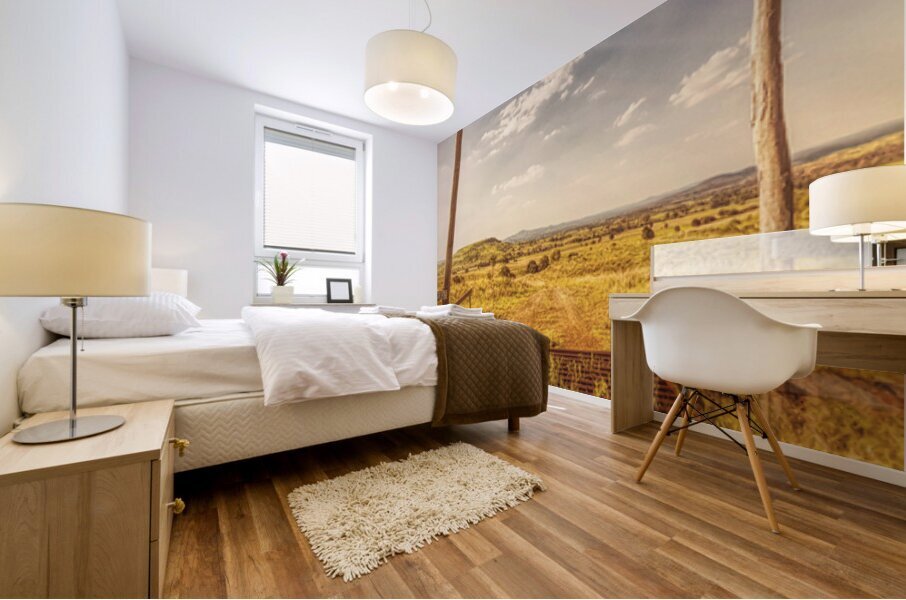 Framed Country Mural print