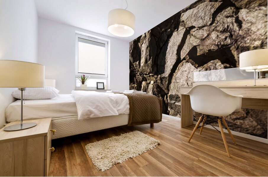 Depths And Details Mural print