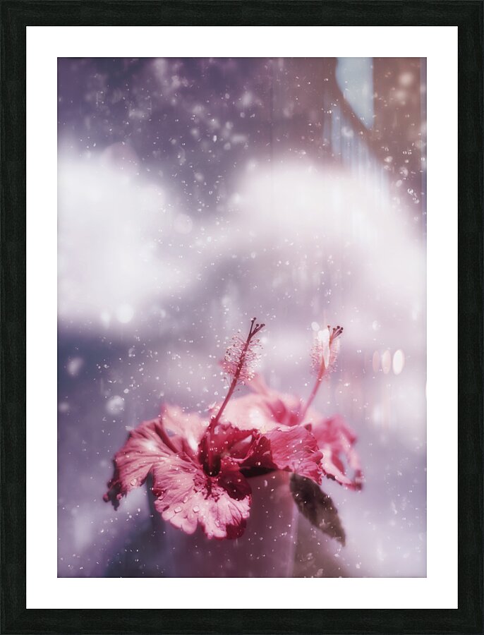 Vintage flower in the summer rain Picture Frame print