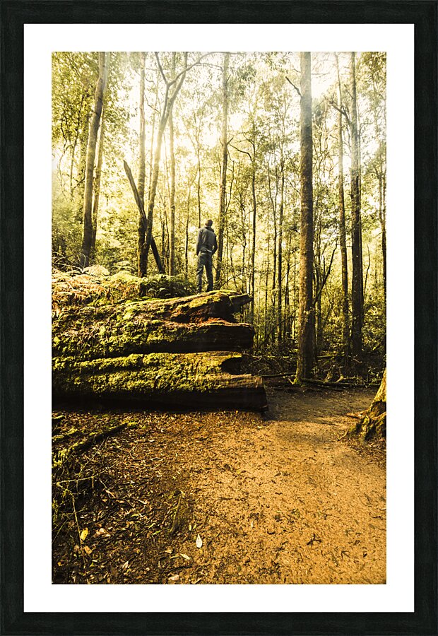 Tourist Hiking Mount Field Tasmania  Picture Frame print