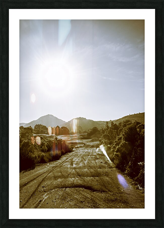 Dirt roads of outback Tasmania Picture Frame print