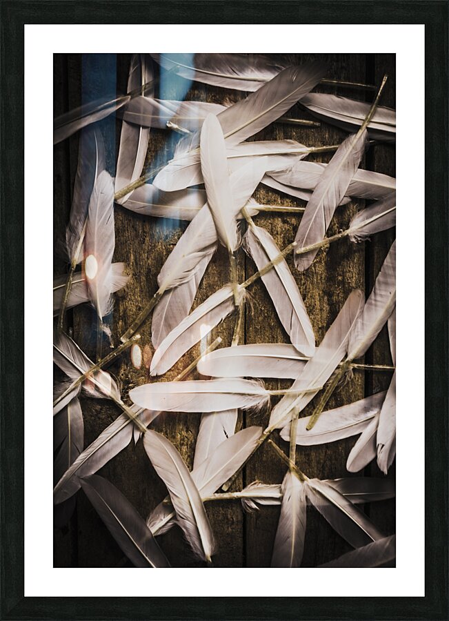 Soft symbol of peace and hope Picture Frame print