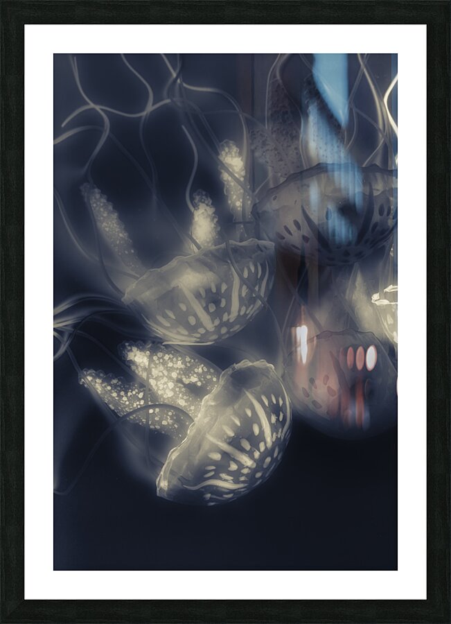 Tonical Entangle Picture Frame print