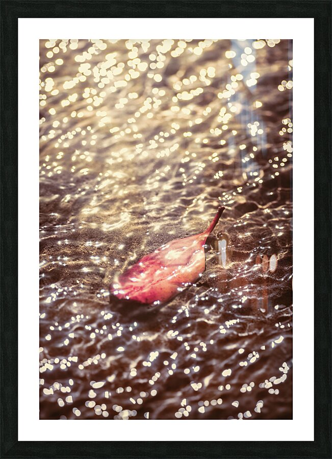 The fall and the light merger Picture Frame print