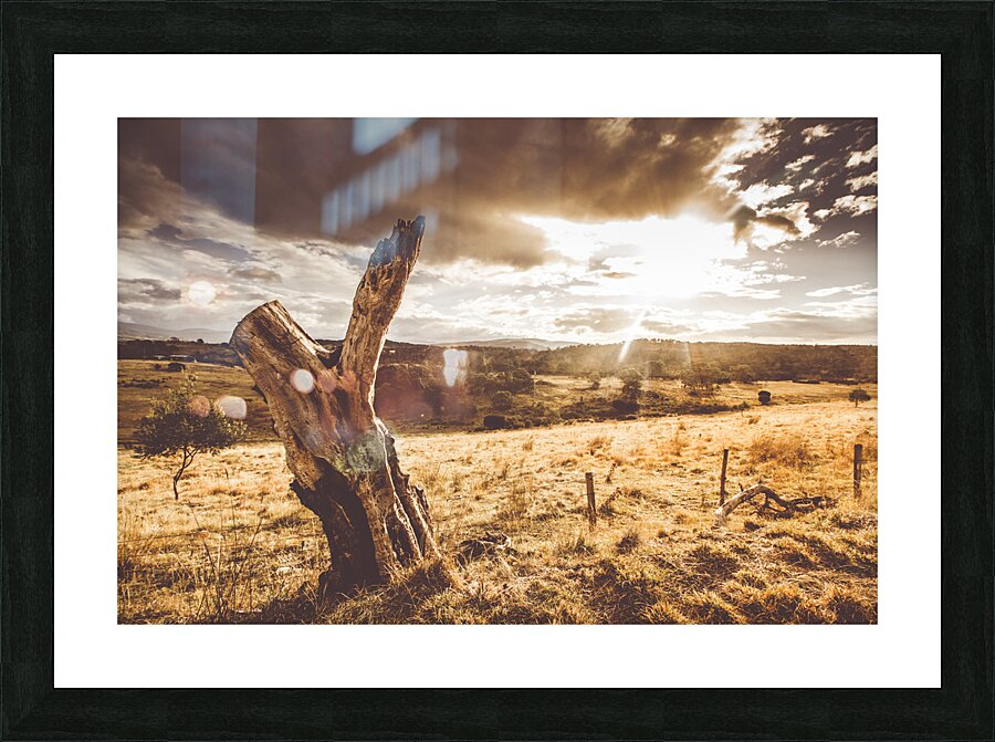 Cranbrook sunset Picture Frame print