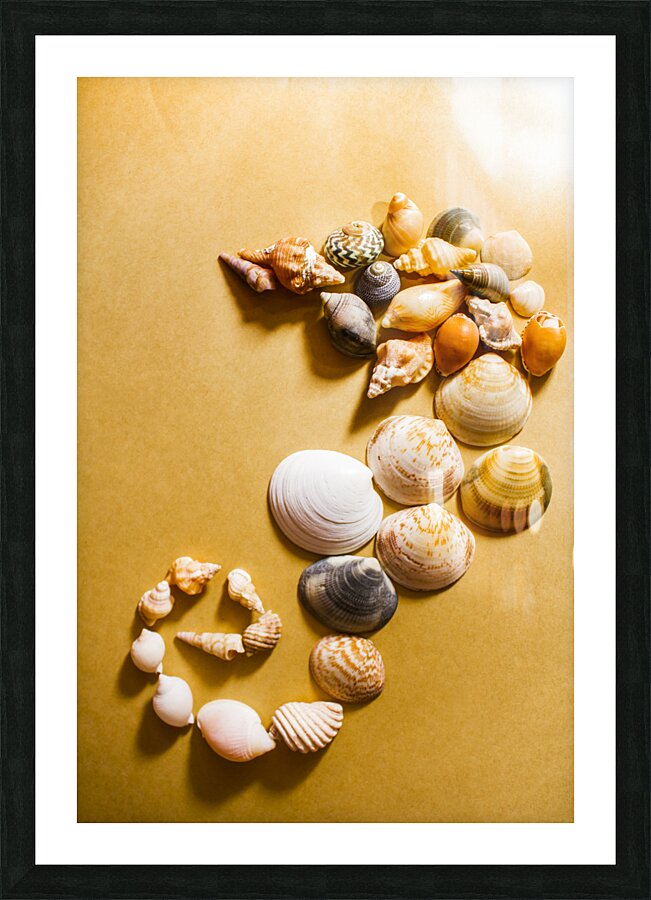 Seahorse art abstract Picture Frame print