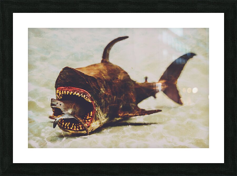 Shark eat Shark Picture Frame print