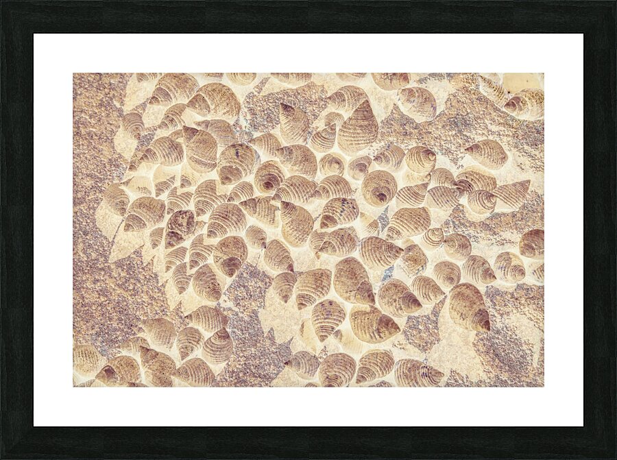 Spiral seaside Picture Frame print