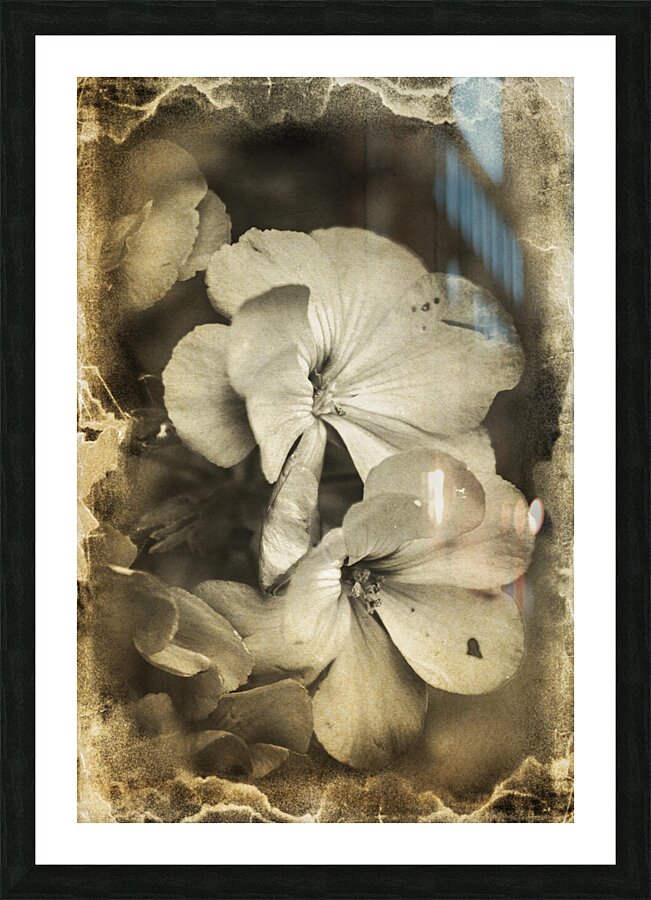 Romances from past times Picture Frame print