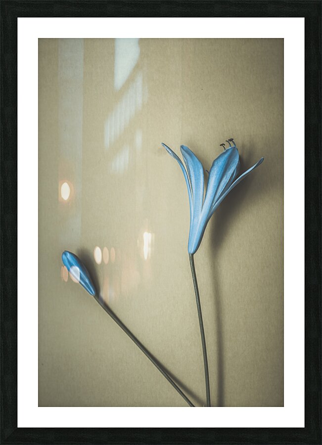 Blue Simplicity Picture Frame print