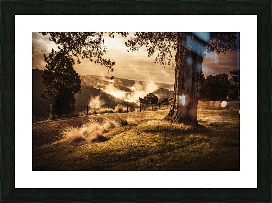 Peaceful vintage landscape of a rural meadow Picture Frame print