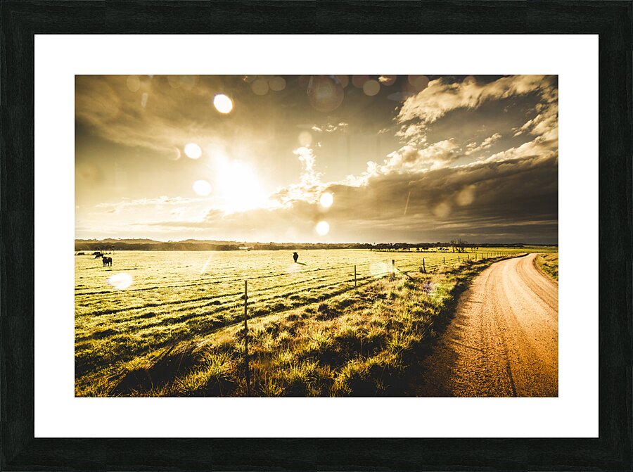 Australian rural dirt road  Picture Frame print