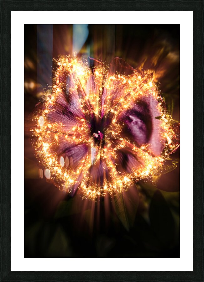 Flower power Picture Frame print