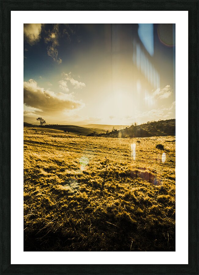 Sunburnt summer plain Picture Frame print