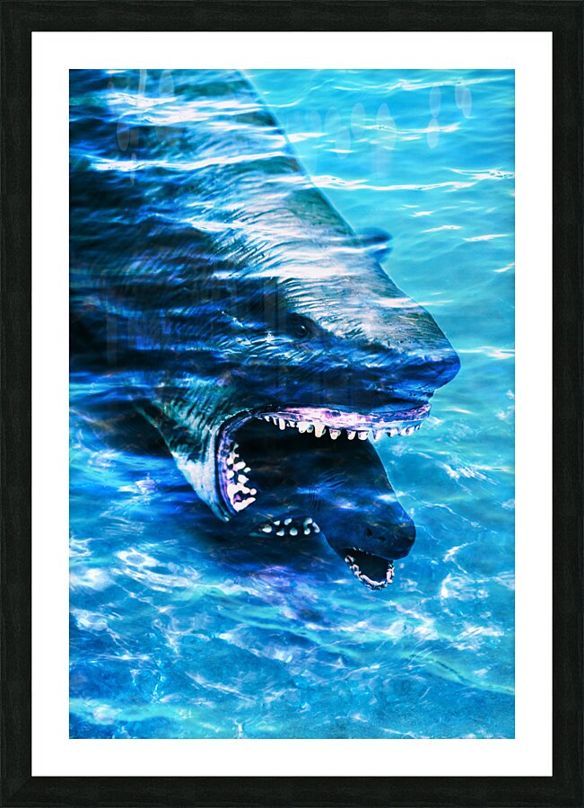 Shark bite Picture Frame print