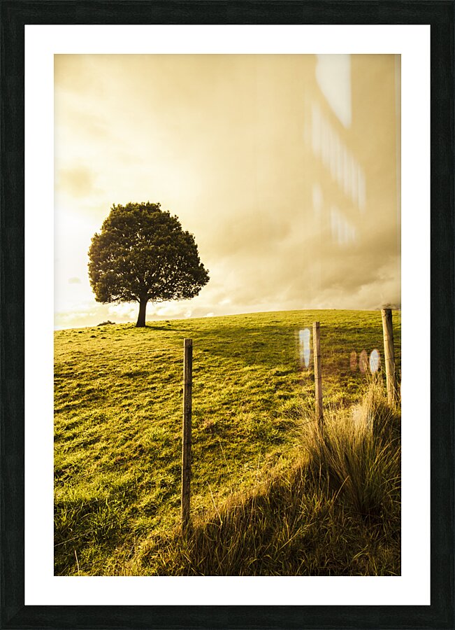 Ridgley hilltop Picture Frame print