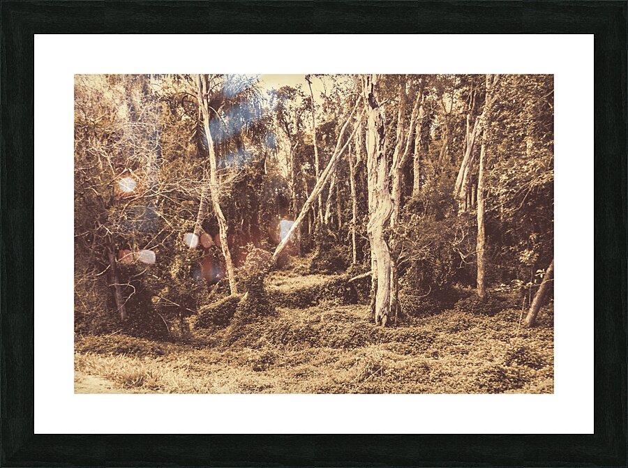 Wild ways Picture Frame print