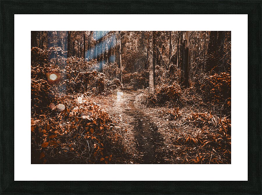Wayback woods Picture Frame print