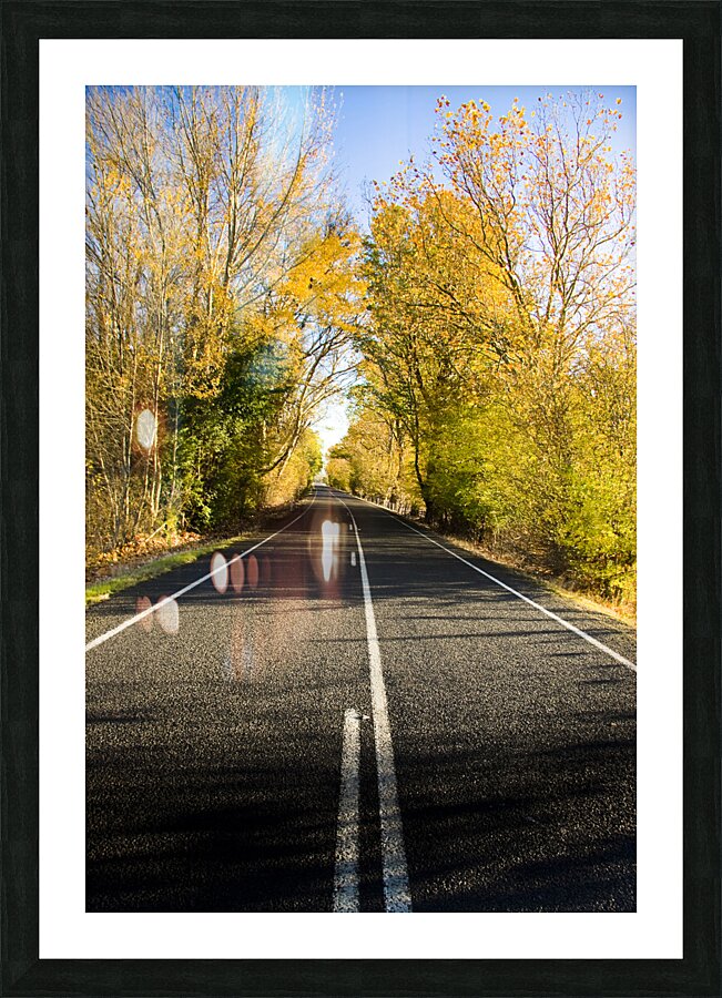 Autumn Drive Picture Frame print