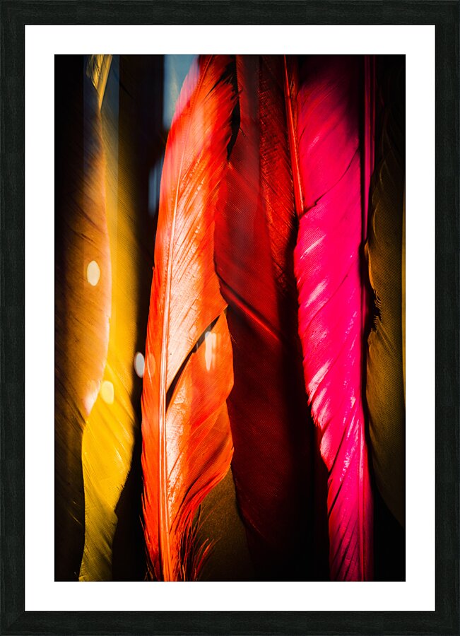Colourful feather art Picture Frame print