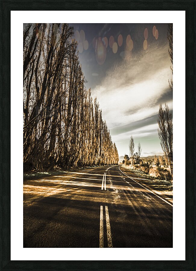 Twisted roads and dead trees Picture Frame print