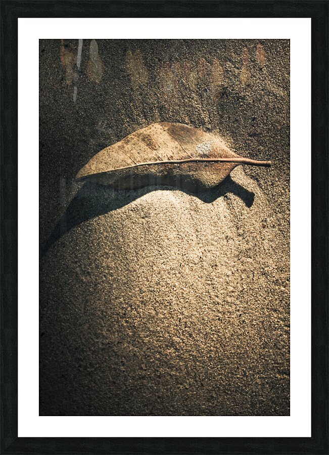 The desert burial Picture Frame print