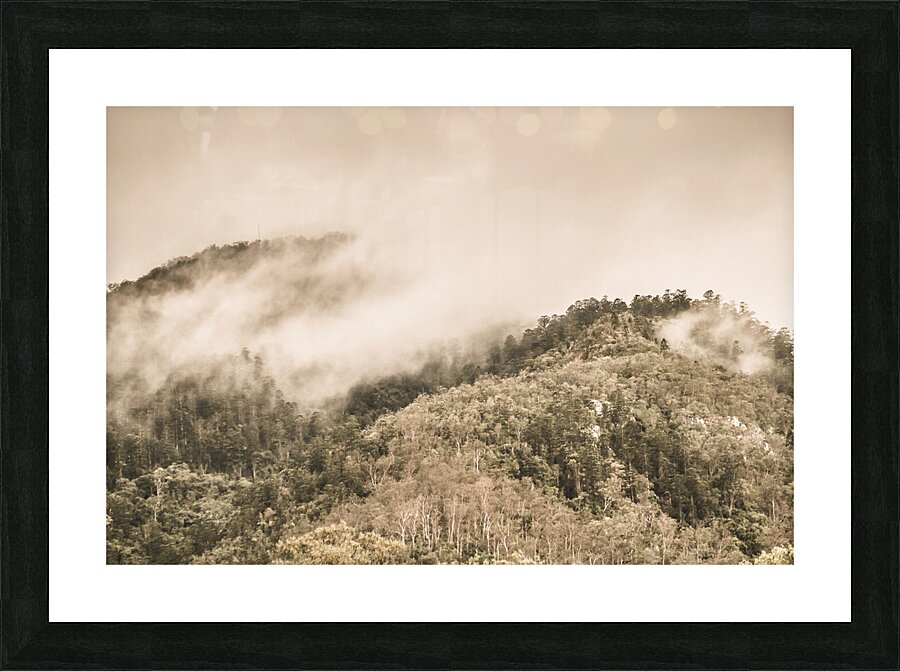 Elevated wonder Picture Frame print