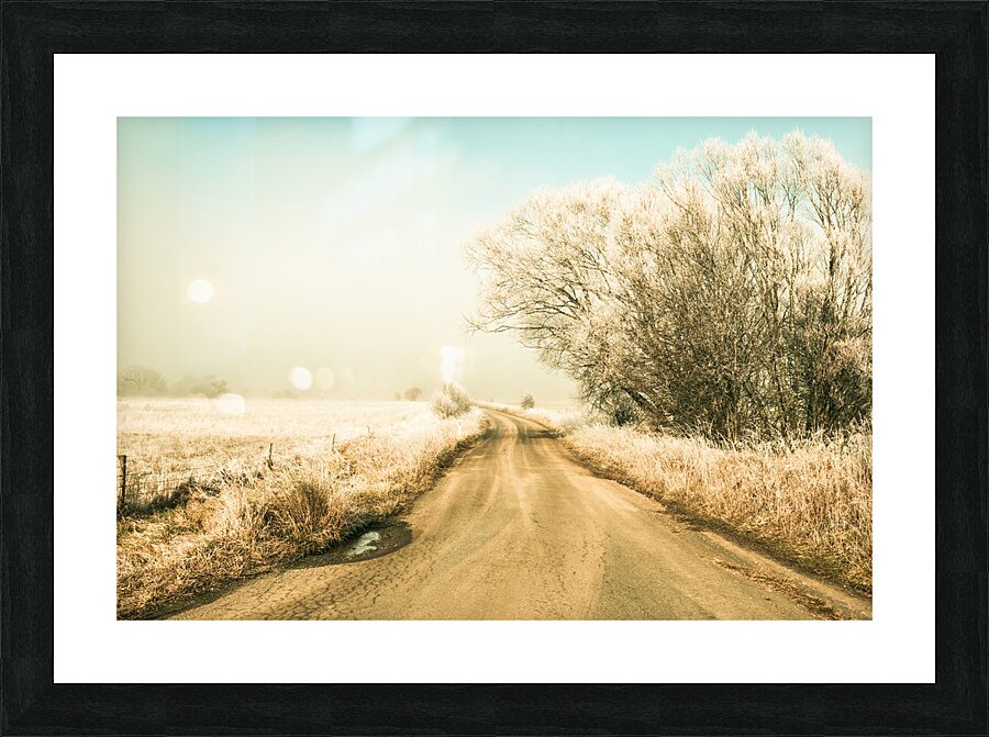 Winter road wonderland Picture Frame print