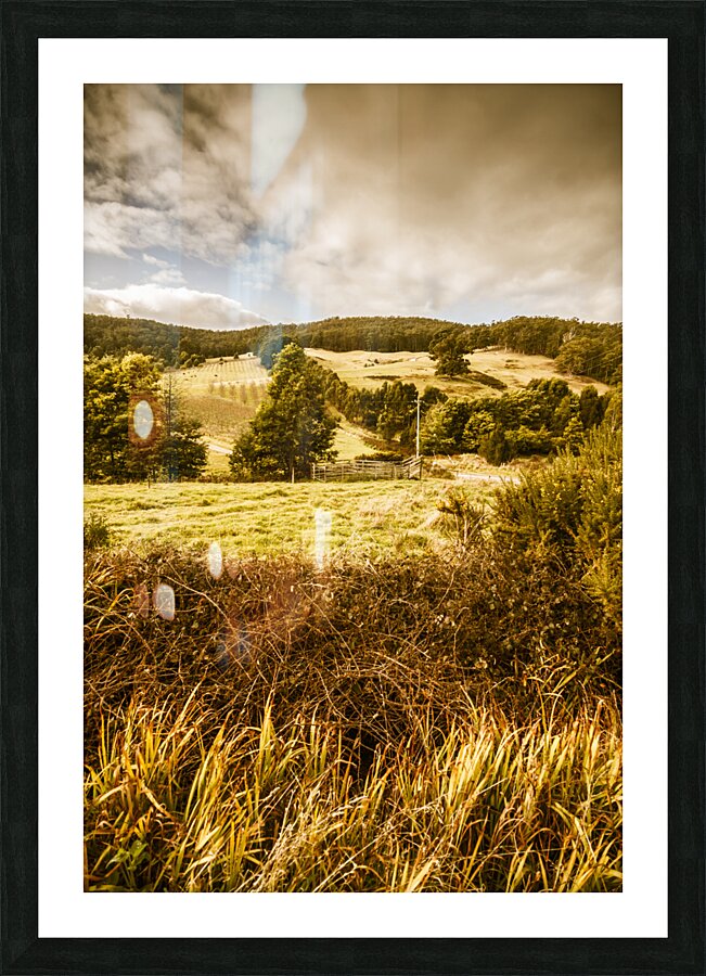 Cygnet rustic farming fields Picture Frame print