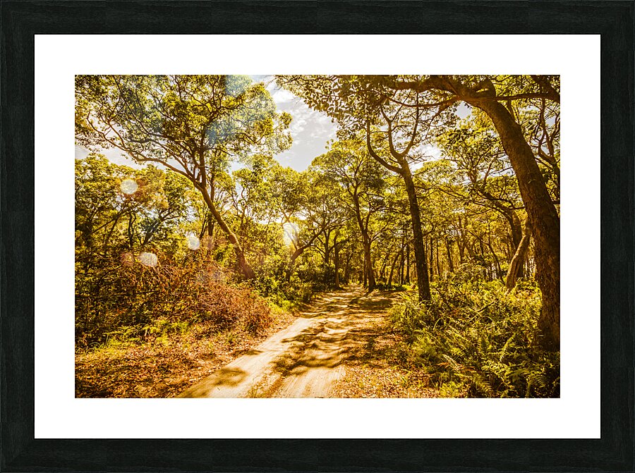 Nth Stradbroke Is. Picture Frame print