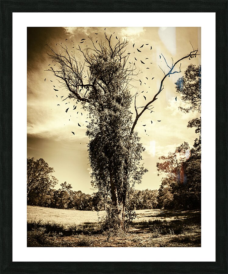 Mourning tree Picture Frame print