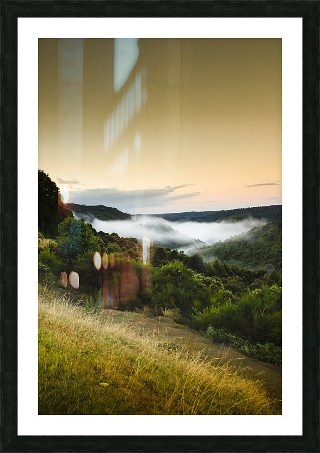 Waratah morning landscape of Mount Bischoff Valley Picture Frame print