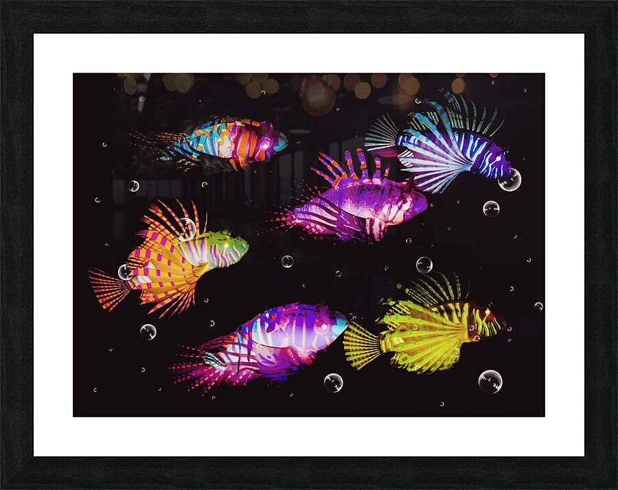 Colors of the tropic Picture Frame print