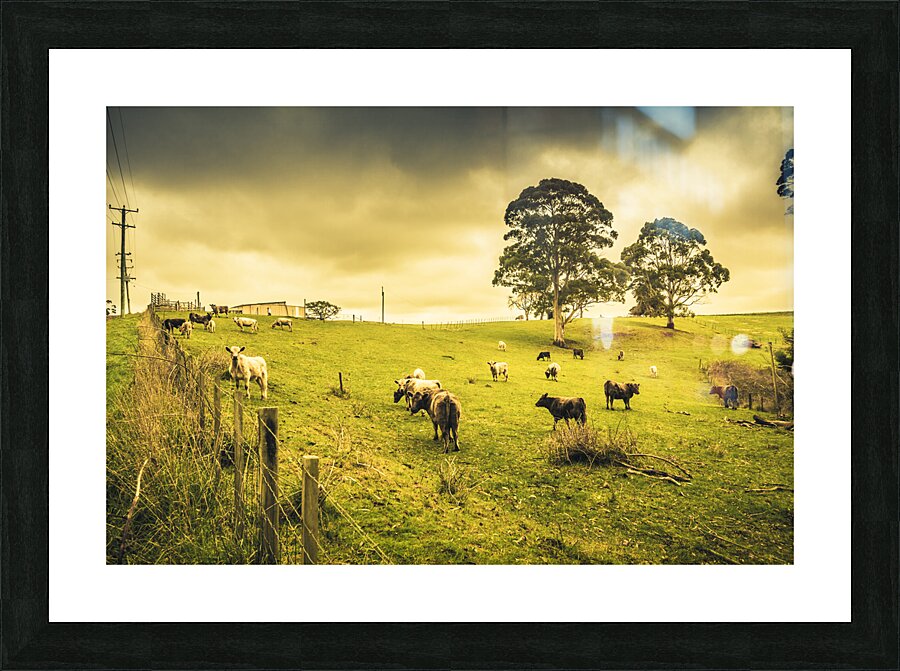 Colourful Australian cattle station Picture Frame print
