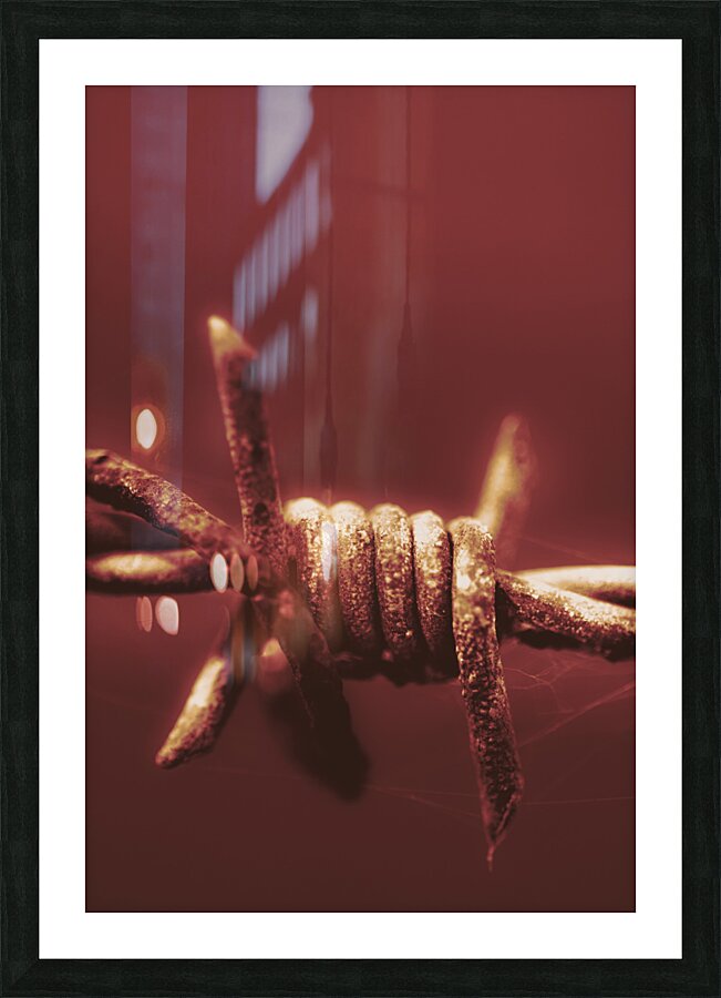 Corrosion of civil liberties Picture Frame print