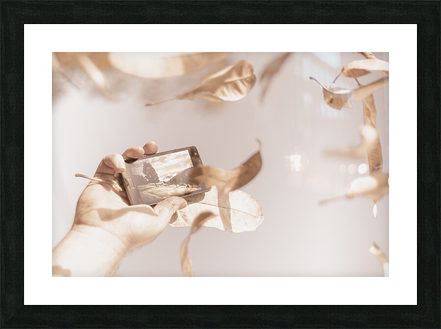 Smart phone catching a serene autumn landscape Picture Frame print
