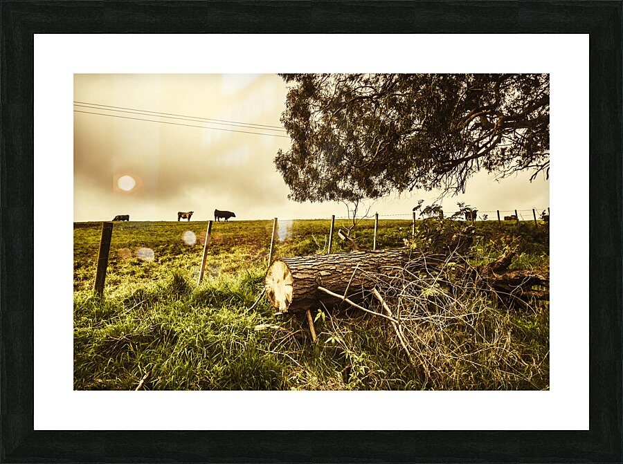 Tasmanian Country Farm Details Picture Frame print