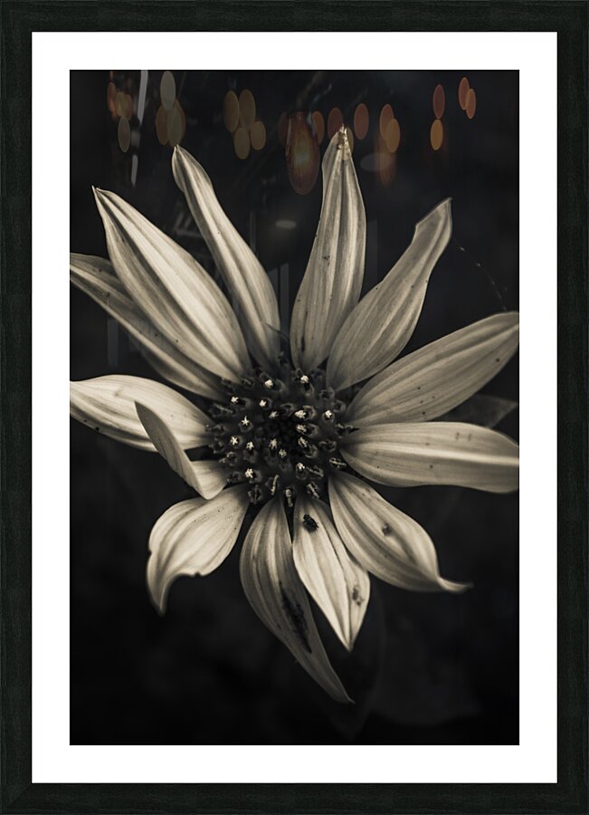 Floral elegance Picture Frame print