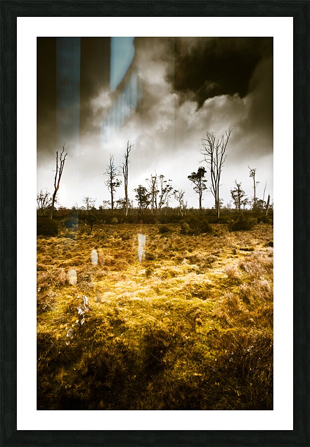 Beauty and barren bushland Picture Frame print