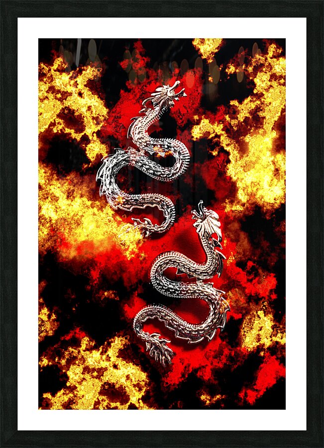 Double Dragon Picture Frame print
