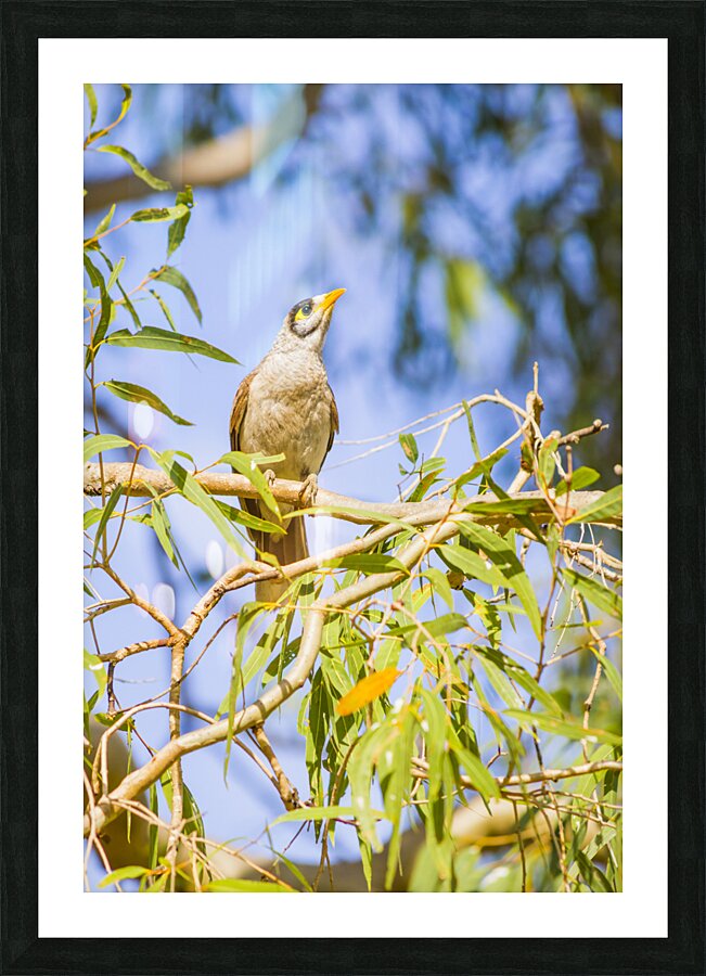 Noisy Minor Picture Frame print