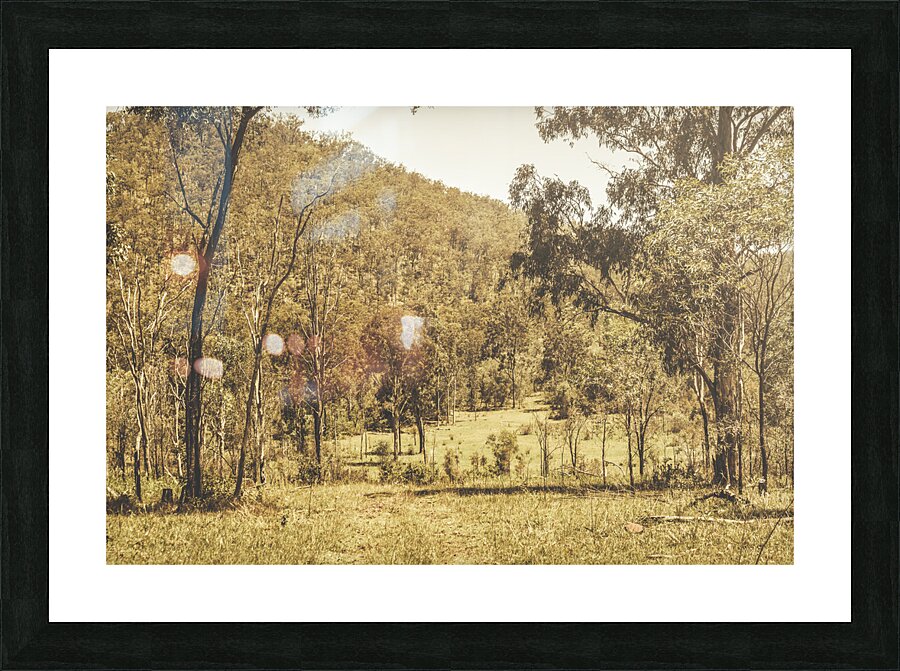 Vintage hillside Picture Frame print