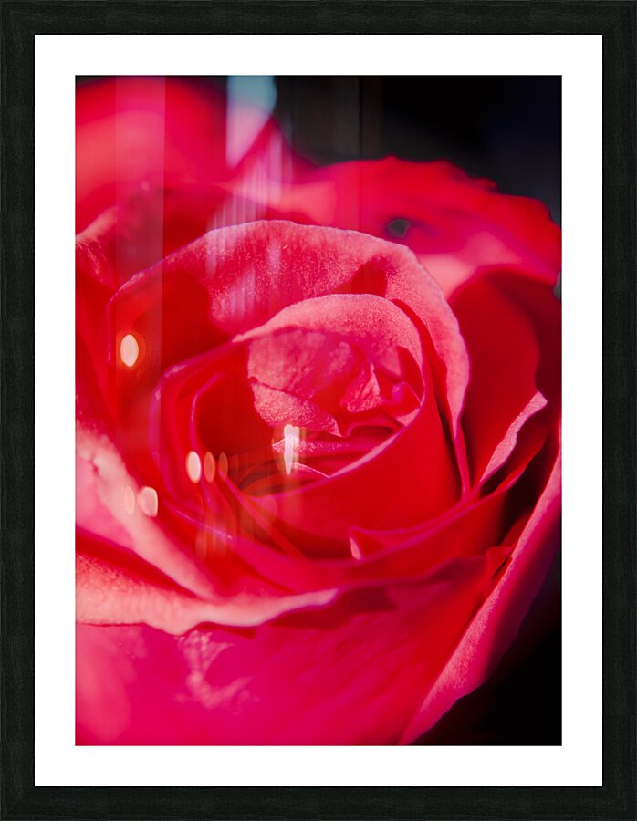 Intimate details Picture Frame print