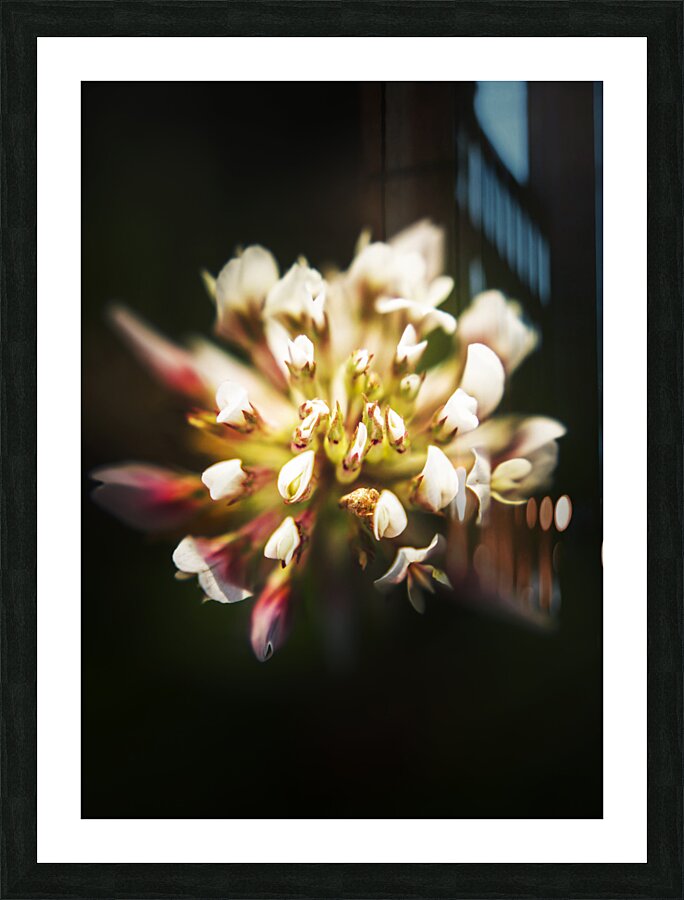 Wild darkness Picture Frame print