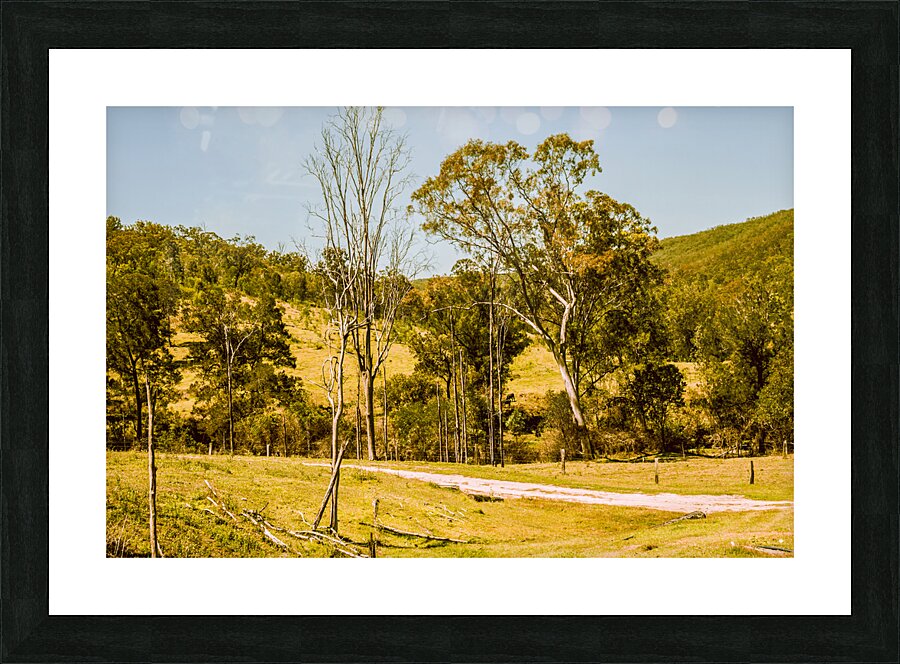 Bucolic backroads Picture Frame print
