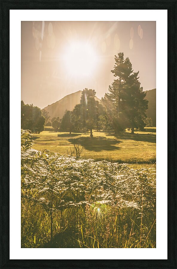 Fields of springtime Picture Frame print