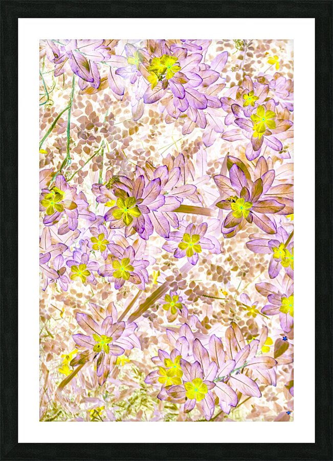 Embellished  Picture Frame print