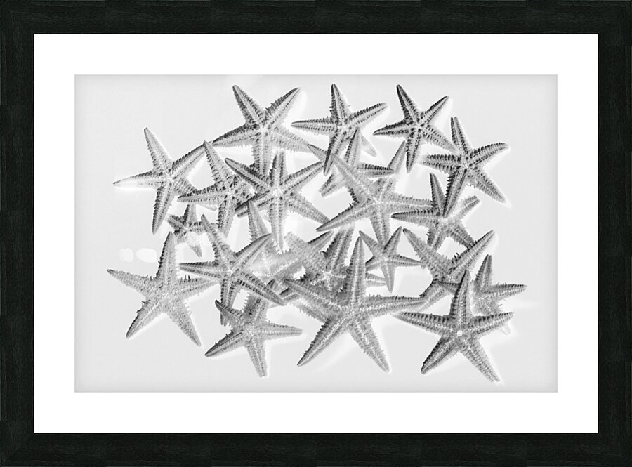 Sea staring Picture Frame print